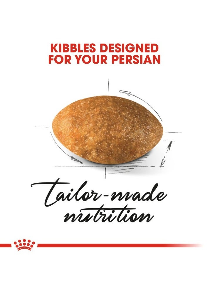 ROYAL CANIN Feline Breed Nutrition Persian Adult 10 KG - Image 2