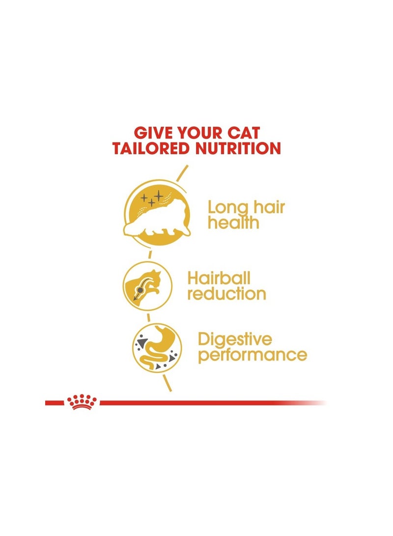 ROYAL CANIN Feline Breed Nutrition Persian Adult 10 KG - Image 3