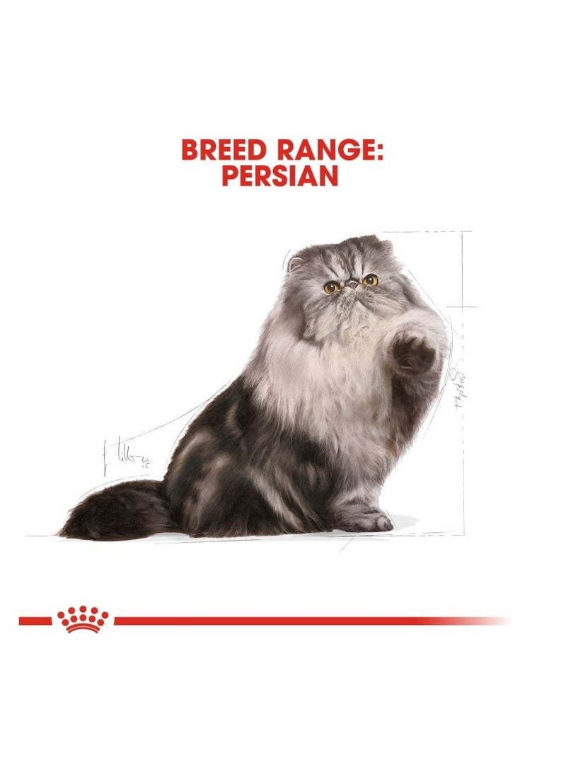 ROYAL CANIN Feline Breed Nutrition Persian Adult 10 KG - Image 4