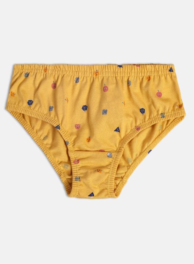 MINIKLUB Pack of 2 - Boys Cotton Knitted Briefs - Image 4