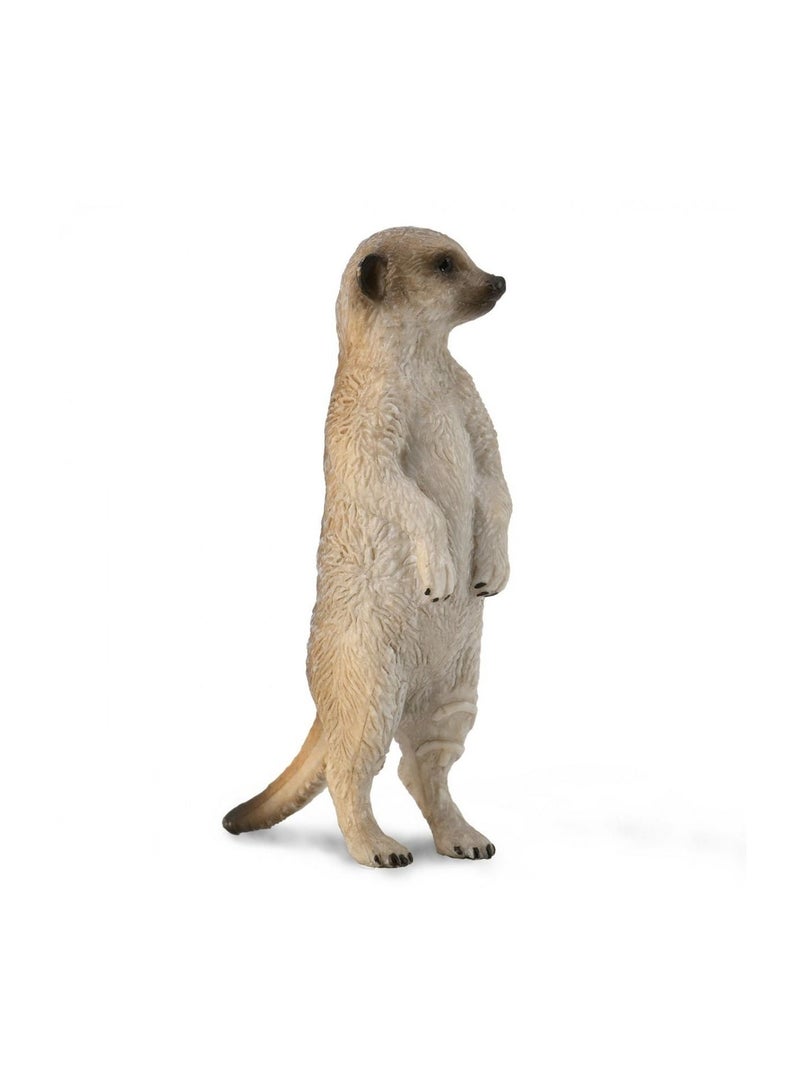 Collecta - Meerkat - 88913
