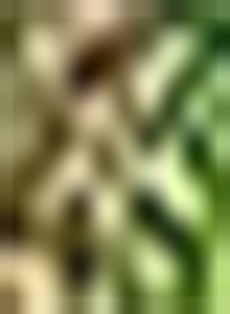 GGOOT 10pcs Roze Oxalis Bollen Bloemen Licht Geur Droogte Tolerant Overblijvend Kruid Sterk Aanpassingsvermogen Landschapsarchitectuur Niet Veel Onderhoud Vereisen - Image 1