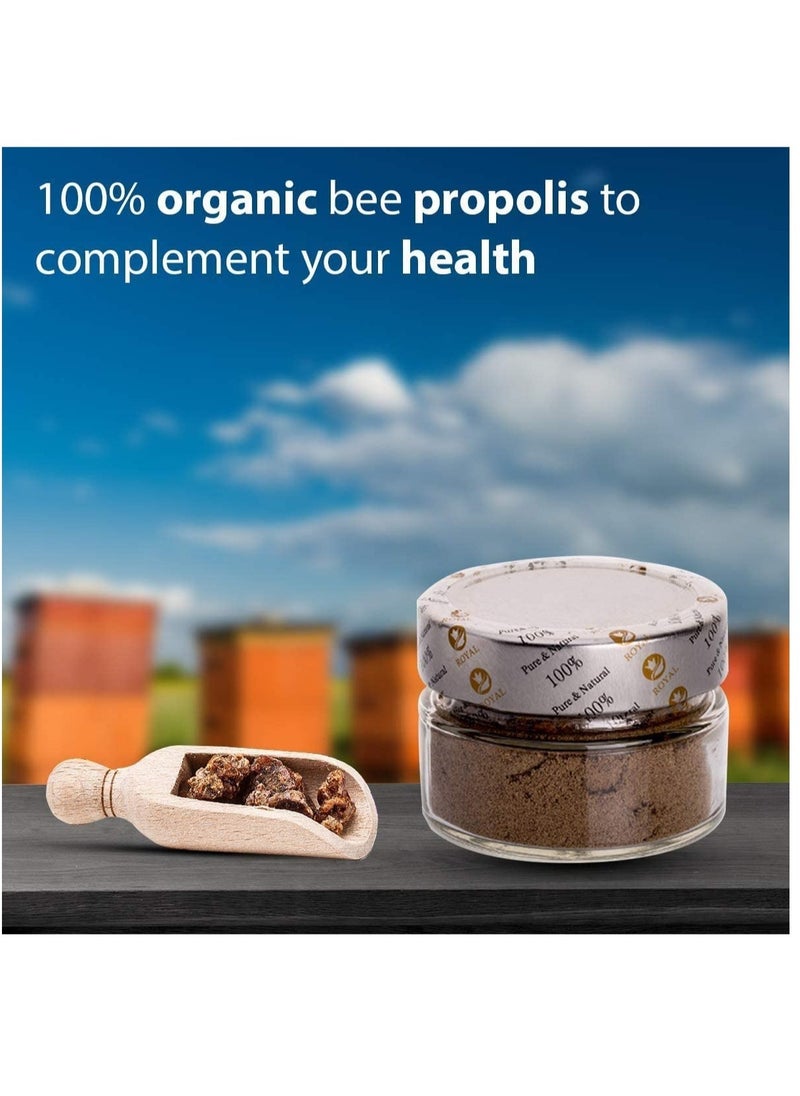 Al Malaky Royal - Natural Propolis Powder- Pure 25g - Image 1