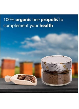 Natural Propolis Powder- Pure 25g - view 5