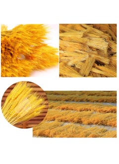 Excefore Dried Wheat Sheaves Stalks Bouquet Bundles, 100 Stems Natural Ear of Wheat Grain Flowers Dry Grass Bunch DIY Arrangements for Home Wedding Store Decorative  - Image 2