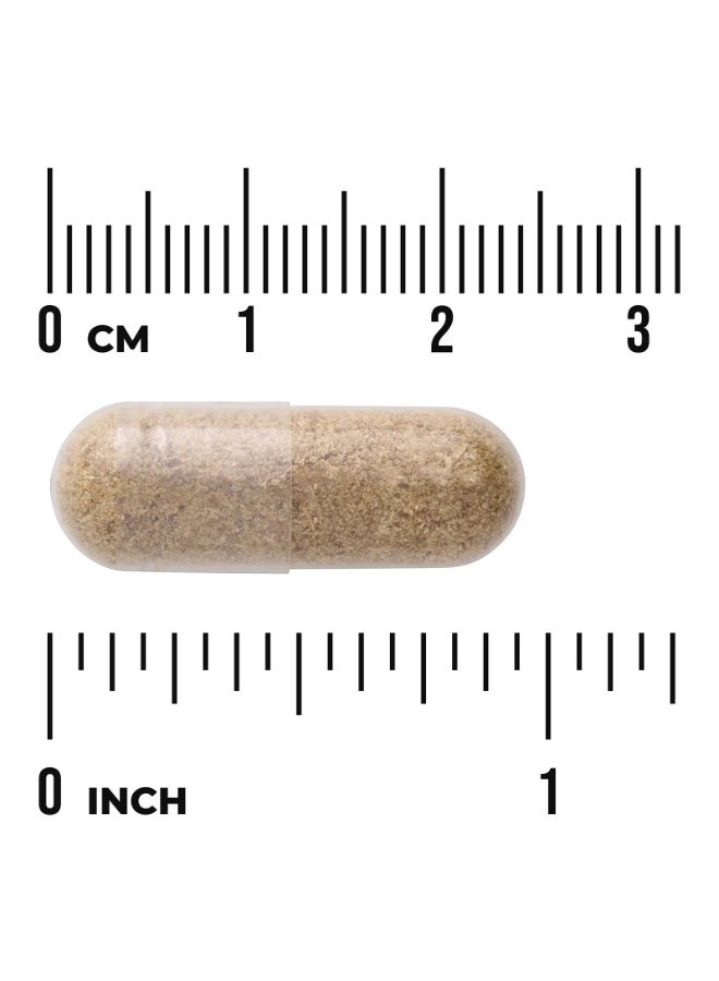 SWANSON Full Spectrum® Fennel Seed, 480 mg, 100 Capsules - Image 2