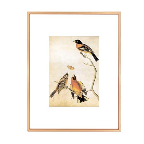 BKABOT 9x12 Picture Frame, Gold Metal Photo Frames with HD Glass, Fits 6x8 with Mat or 9 x 12 without Mat, Display for Wall and Table, 1 Pack - Image 1
