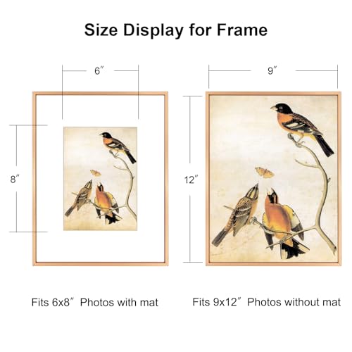 BKABOT 9x12 Picture Frame, Gold Metal Photo Frames with HD Glass, Fits 6x8 with Mat or 9 x 12 without Mat, Display for Wall and Table, 1 Pack - Image 2