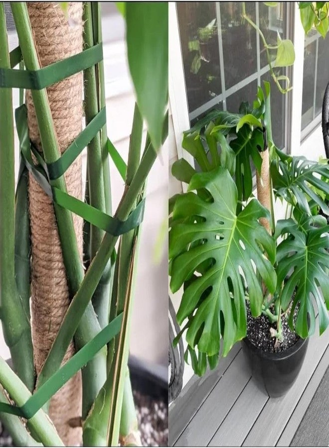 Navya germination حبل من الجوت الطبيعي، خيط متعدد الأغراض لأعمدة خدش القطط، ودعم الحدائق، ودعامات النباتات، والأعمال اليدوية 100 متر/ - Image 5