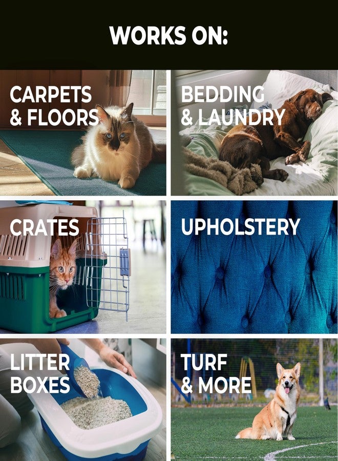 Simple Green Pet Stain and Odor Eliminator 32 oz - Image 3