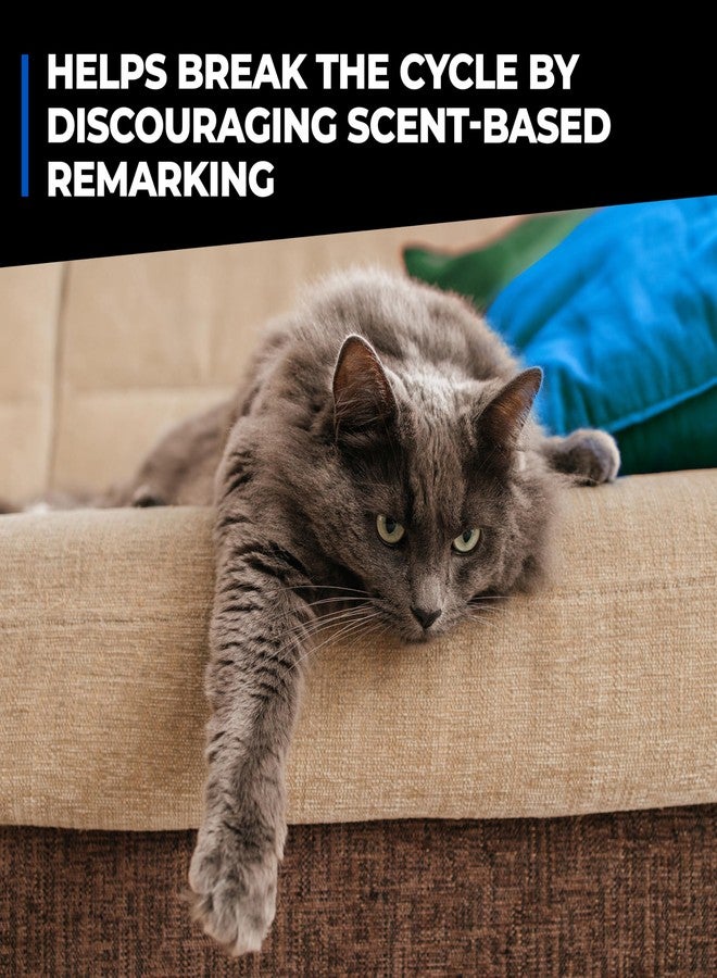 Simple Green Pet Stain and Odor Eliminator 32 oz - Image 5