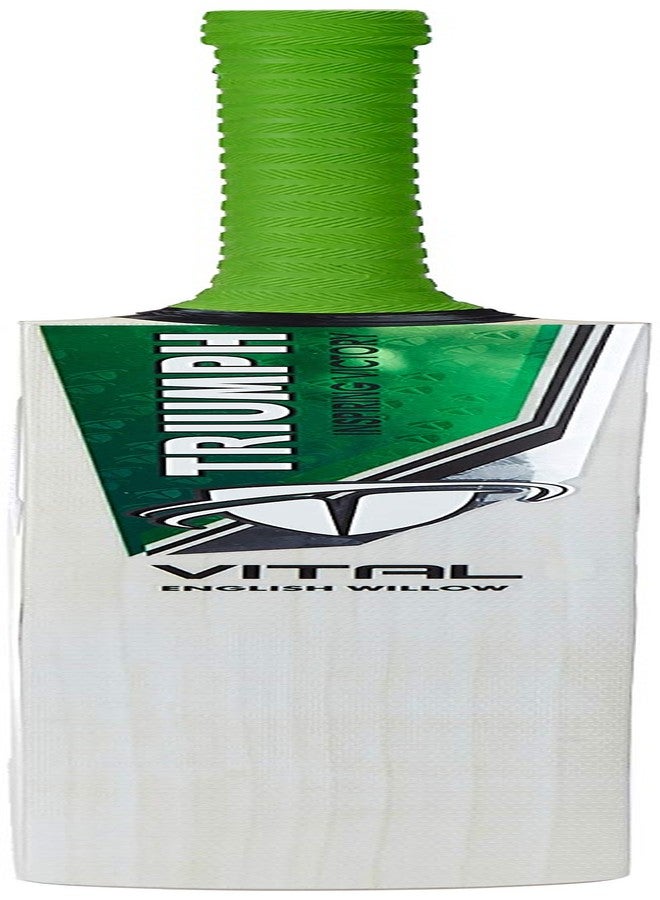 ترايامف مضرب كريكيت احترافي من خشب الصفصاف الإنجليزي من تريومف فيتال للرجال | جاهز للعب | خفيف الوزن - Image 3