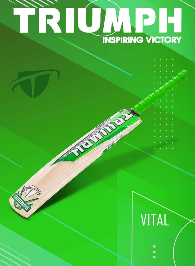 ترايامف مضرب كريكيت احترافي من خشب الصفصاف الإنجليزي من تريومف فيتال للرجال | جاهز للعب | خفيف الوزن - Image 4