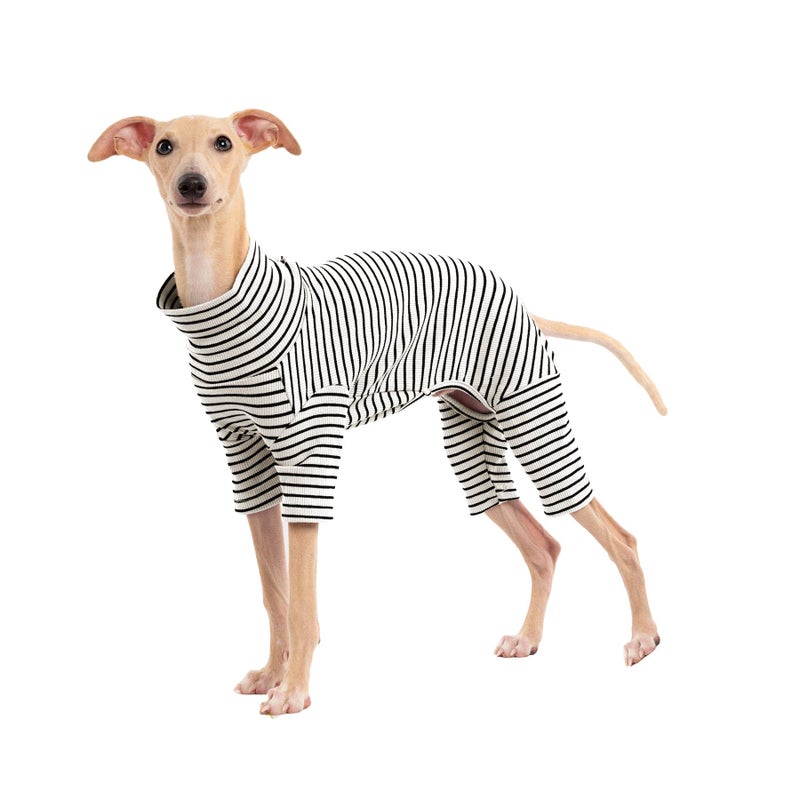 Haloumoning Dog Sweaters for Small Dogs Girls Boys, Striped Pet Sweaters for Fall Winter Dog Clothes, Turtleneck Pullover Knitwear for Small Medium Large Dogs - Image 1