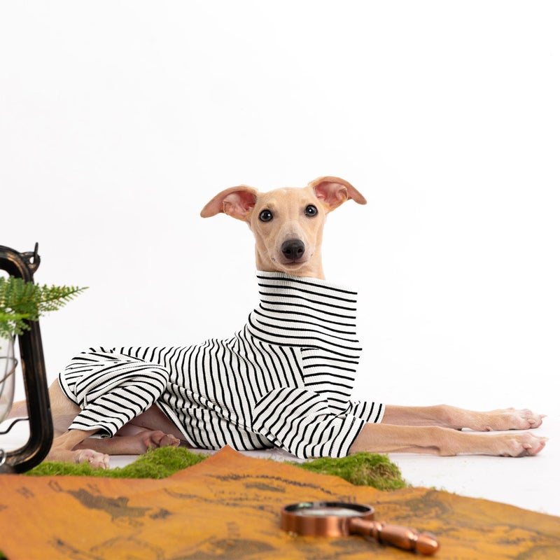 Haloumoning Dog Sweaters for Small Dogs Girls Boys, Striped Pet Sweaters for Fall Winter Dog Clothes, Turtleneck Pullover Knitwear for Small Medium Large Dogs - Image 4