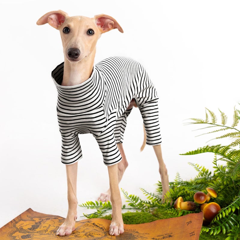 Haloumoning Dog Sweaters for Small Dogs Girls Boys, Striped Pet Sweaters for Fall Winter Dog Clothes, Turtleneck Pullover Knitwear for Small Medium Large Dogs - Image 2
