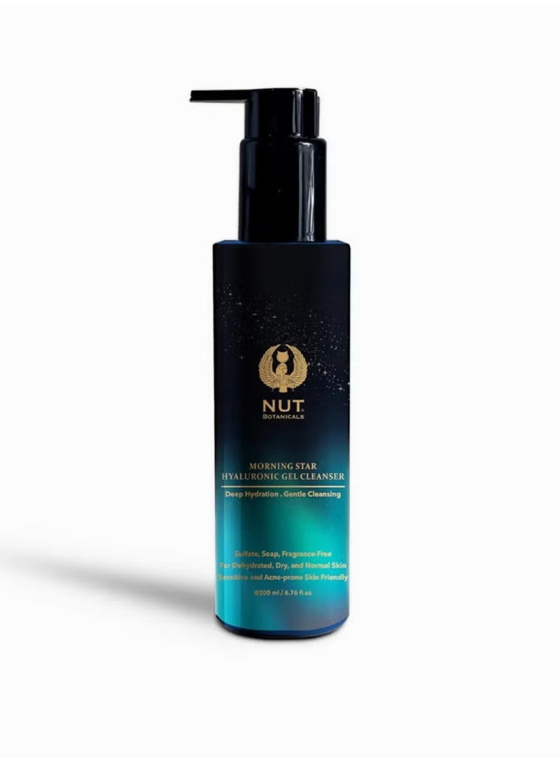 Morning Star Hyaluronic Gel Cleanser