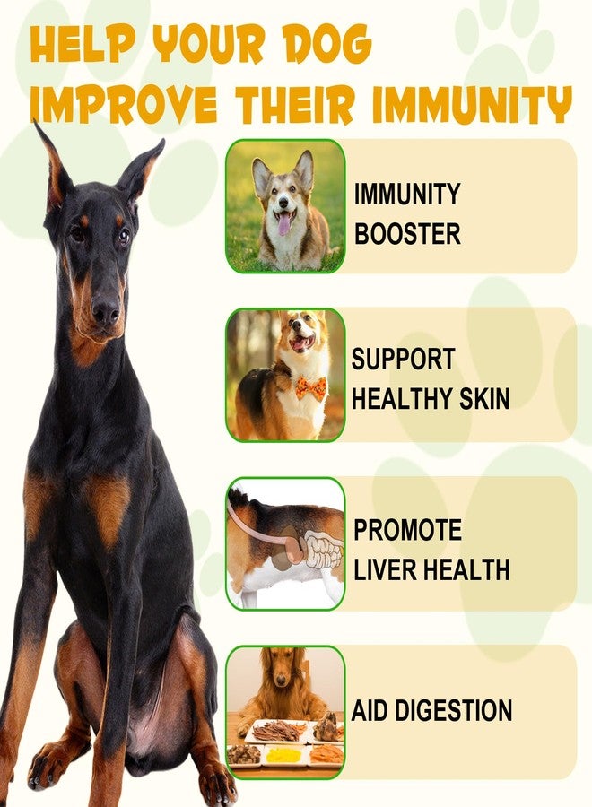 Uruses Allergy Relief Drops for Dogs, Dog Immune Support Supplement with Elderberry & Vitamin C, Liver Health Support，Herbal Drops for All Breeds & Sizes, Bacon Flavor, 2 Fl oz/60ml - Image 3
