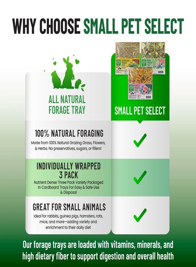 Small Pet Select Forage Tray Bundle, 3 Pack of Foraging Trays for Rabbit, Guinea Pig, Hamster or Bunny - Natural Treats, Dandelion, Flower, Herb Mix 2.5oz Each - Image 4