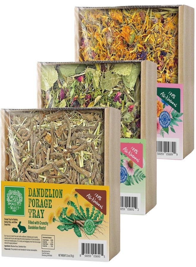 Small Pet Select Forage Tray Bundle, 3 Pack of Foraging Trays for Rabbit, Guinea Pig, Hamster or Bunny - Natural Treats, Dandelion, Flower, Herb Mix 2.5oz Each - Image 1