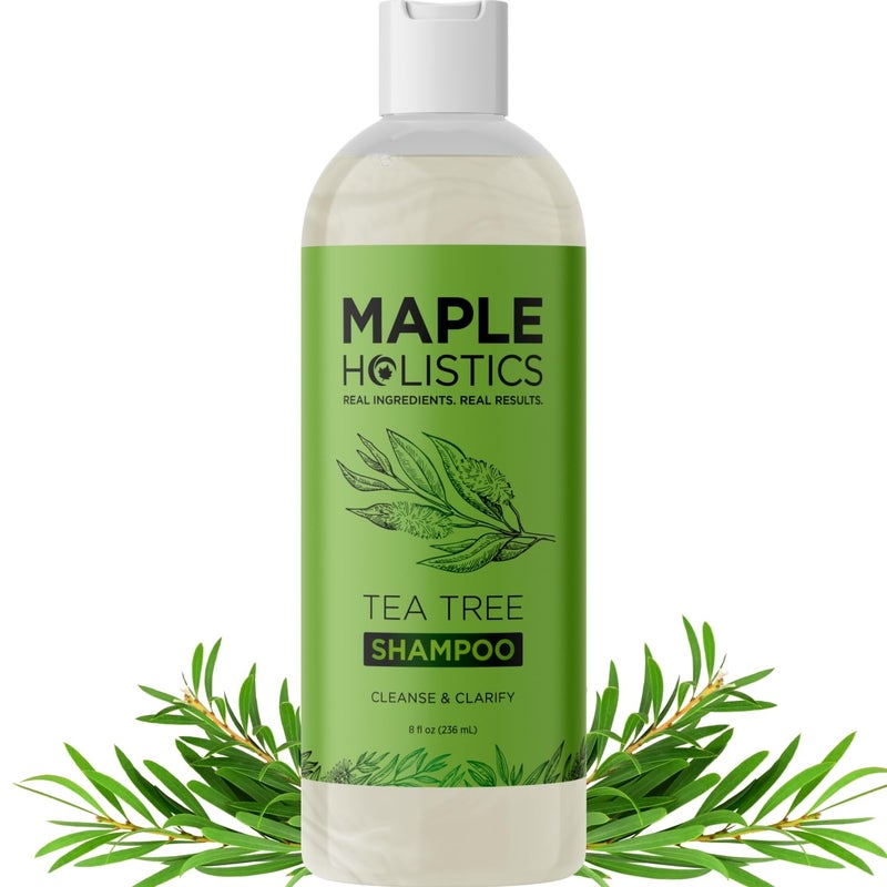 Maple Holistics شامبو م clarifying للتراكم والشعر الدهني - شامبو شجرة الشاي للرجال والنساء مع زيت إكليل الجبل للشعر وفروة الرأس الدهنية - آمن للألوان نباتي خالي من الكبريتات والسيليكون والبارابين (8 أونصة سائلة) - Image 1