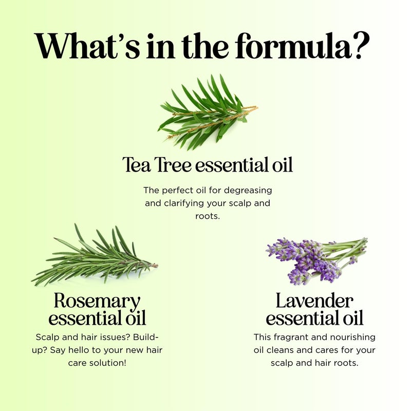 Maple Holistics شامبو م clarifying للتراكم والشعر الدهني - شامبو شجرة الشاي للرجال والنساء مع زيت إكليل الجبل للشعر وفروة الرأس الدهنية - آمن للألوان نباتي خالي من الكبريتات والسيليكون والبارابين (8 أونصة سائلة) - Image 5