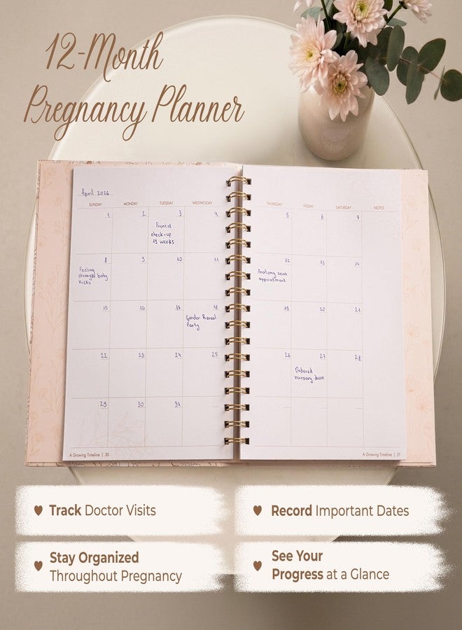 Pinkify It Pregnancy Journal for First Time Moms, Pregnancy Planner with 12 Monthly Calendars, Weekly Tracker, Photo Pages & Back Pocket, Baby Journal Memory Book Keepsake – Thoughtful Mom-to-Be Gift - Image 2