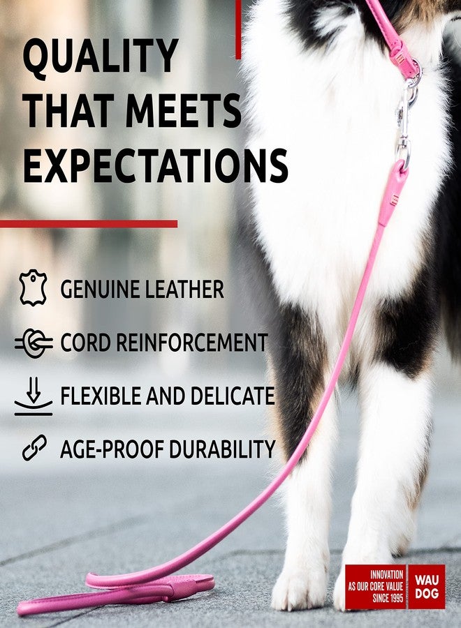WAUDOG Rolled Leather Dog Leash 4Ft * 0.5 in for Small Medium and Large Dogs - Heavy Duty Leather Puppy Leash for Outdoor Walking Running Training - Strong Dog Leashes for Large Breed Dogs (Pink) - Image 3