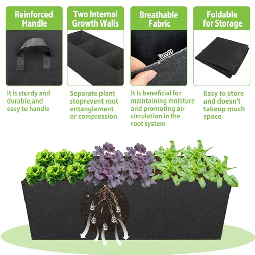 RGJ 3 Pack Fabric Raised Garden Bed, 22 Gallon 3x1x1 FT Garden Growing Bags with Handle, 3 Grids Breathable Garden Grow Bed Bag Grow Planter Bags Plant Bed for Planting Vegetables, Flowers and Herbs - Image 3