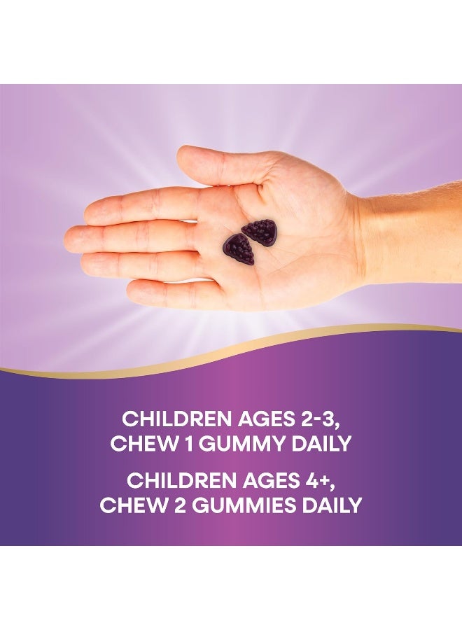 Nature's Way Sambucus Immune Gummy Elderberry, 60 Gummies Packaging May Vary - Image 4
