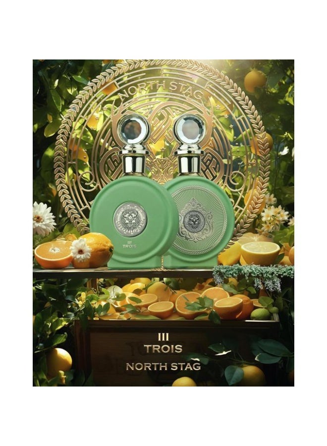 PARIS CORNER Expressions III Trois - Unisex EDP - 100ml - Image 4