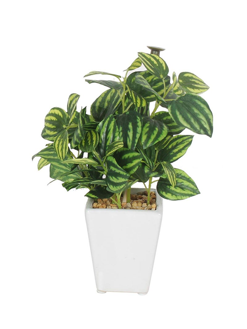 Fourwalls 20cm Artificial Mini Quercus Plant in a Ceramic Vase (Green and White) - Image 5