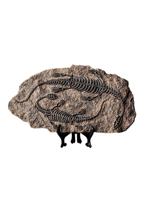 Handcrafted Dinosaur Skeleton Model - Resin Fossils Sculpture with Realistic Details, High Durability, Low Maintainance and a Perfect Home or Office Decoration