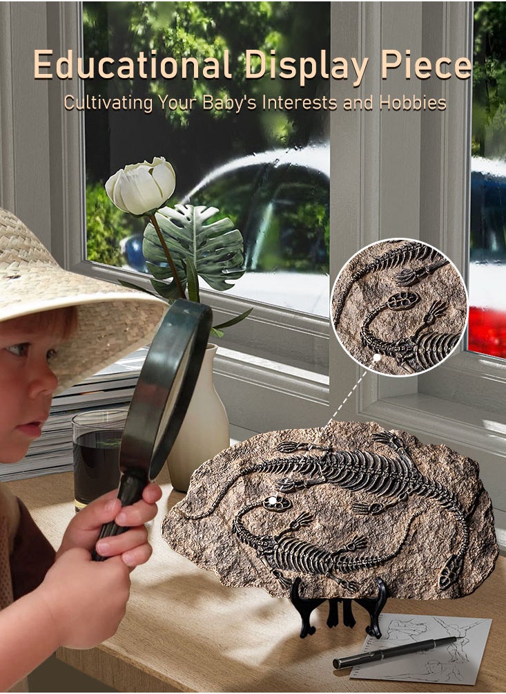 Handcrafted Dinosaur Skeleton Model - Resin Fossils Sculpture with Realistic Details, High Durability, Low Maintainance and a Perfect Home or Office Decoration
