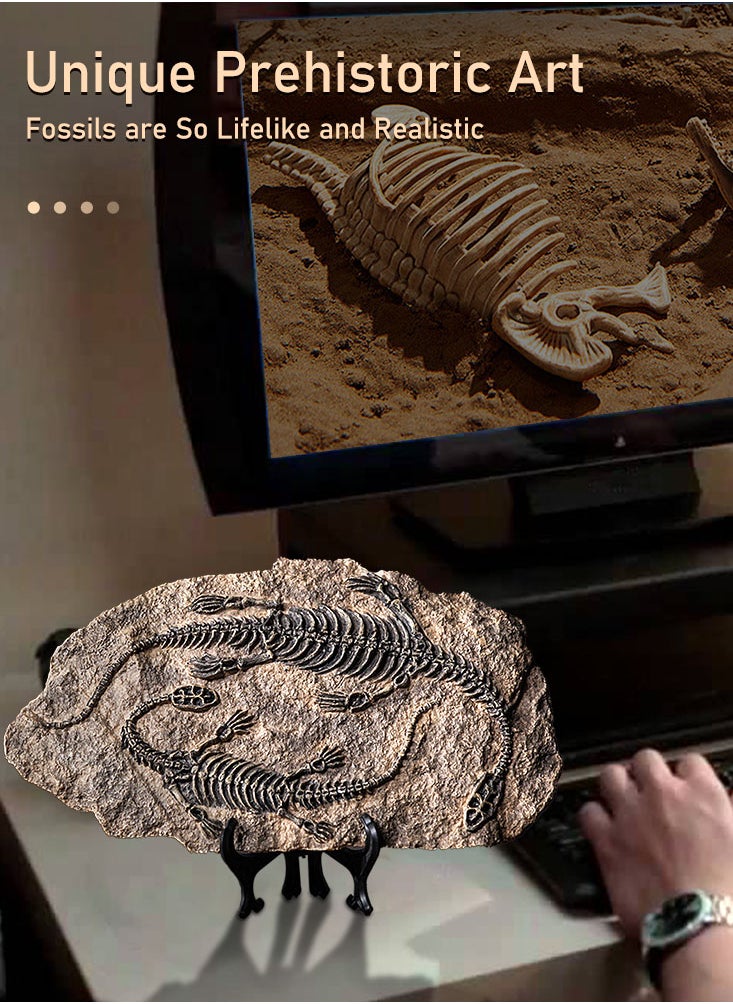 Handcrafted Dinosaur Skeleton Model - Resin Fossils Sculpture with Realistic Details, High Durability, Low Maintainance and a Perfect Home or Office Decoration