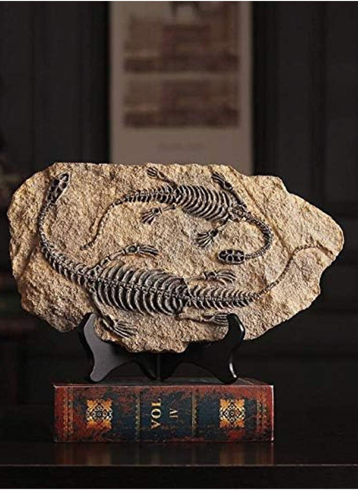 Handcrafted Dinosaur Skeleton Model - Resin Fossils Sculpture with Realistic Details, High Durability, Low Maintainance and a Perfect Home or Office Decoration