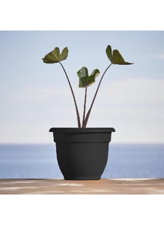 Bloem Ariana Weather Resistant Self-Watering Plastic Planter Black 12 Inch 20-56912  - Image 3