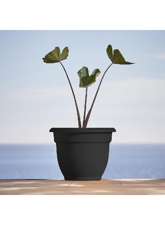 Ariana Weather Resistant Self-Watering Plastic Planter Black 12 Inch 20-56912