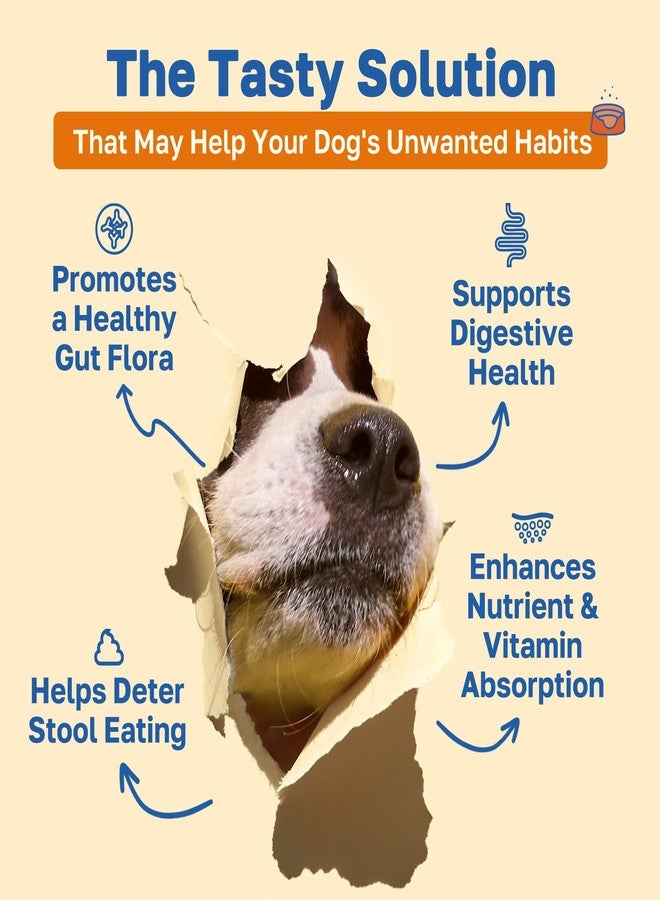 Happy Paws No Poo Chews for Dogs, Poop Eating Coprophagia Deterrent, Soft Chews for Dogs with Pumpkin, Probiotics & Enzyme Blend for Digestive Health, Organic, Vegan, Non GMO, Beef Flavor, 100 Count - Image 2
