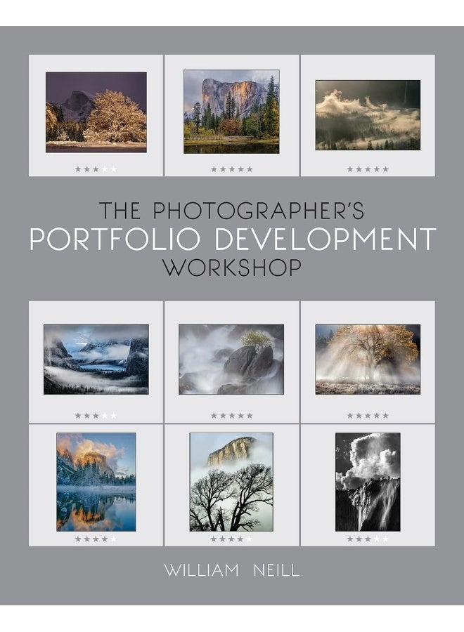 The Photographer's Portfolio Development Workshop: Learn to Think in Themes, Find Your Passion, Develop Depth, and Edit Tightly  - Image 2