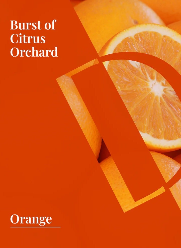 Delune Sweet Orange Organic Wellness Grade Essential Oil - Image 2
