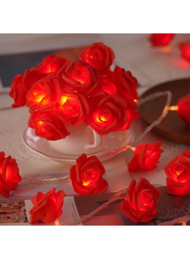 String lights with red roses - Image 1