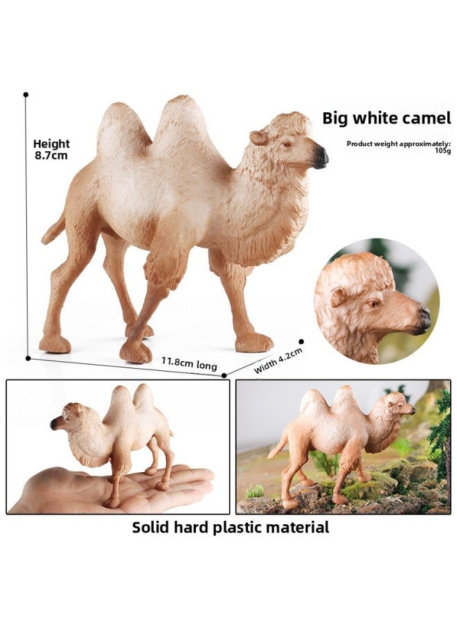 Solid Simulation Wild Animal Model Toy Camel Bimodal Camel Desert Camel Children's Cognitive Ornaments-Color:M-1062 Bactrian Camel - Image 1
