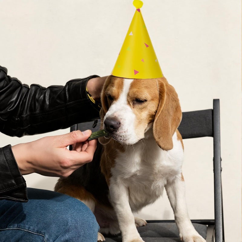 Zelphvt 8PCS Mini Birthday Hats for Stuffed Animals Dog Cat Party Hats with Pom Poms Cute Small Stuffed Animal Birthday Party Hat for Kittens Rabbits, Small Dogs - Image 4
