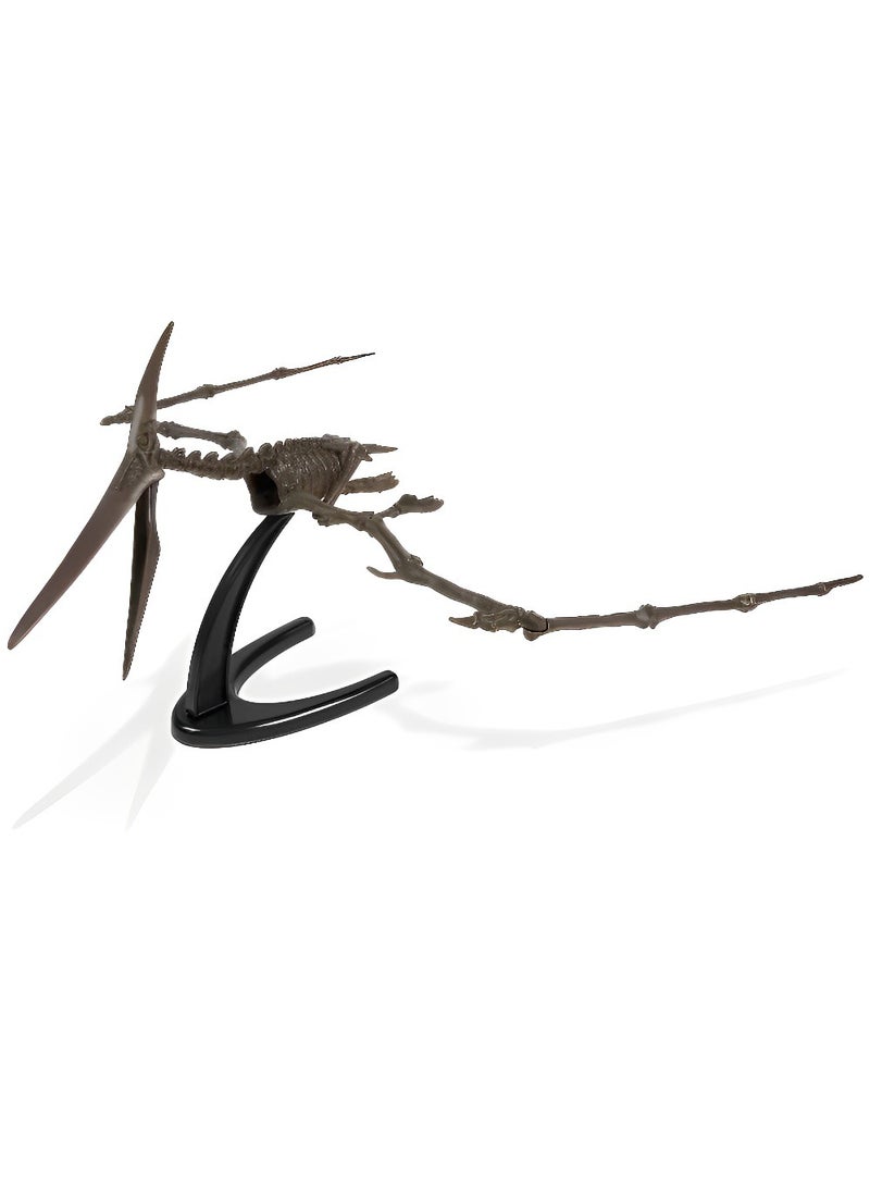 دي آر. ستيف هانترز مجموعة هيكل عظمي 3D Fossil - نموذج هيكل عظمي (بتيرانودون) ، ألعاب تنقيب تعليمية واقعية وعلمية عالية الجودة للأطفال ، نسخة متماثلة بجودة المتحف ، ممتعة وهدية مذهلة - Image 2