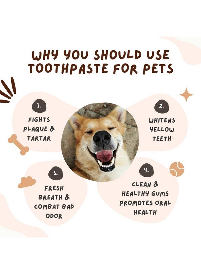 Coco Crush Natural Pet Toothpaste with Coconut Oil Clove,Peppermint,&Cinnamon Flavour Fights Plaque and Tartar 100% Pure&Ingestion Safe Suitable for Dogs,Cats,Puppies,Kittens(50Ml),1 Count - Image 2