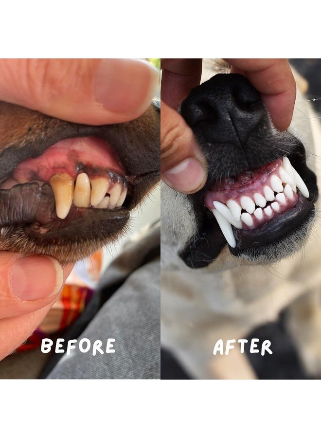 Coco Crush Natural Pet Toothpaste with Coconut Oil Clove,Peppermint,&Cinnamon Flavour Fights Plaque and Tartar 100% Pure&Ingestion Safe Suitable for Dogs,Cats,Puppies,Kittens(50Ml),1 Count - Image 5