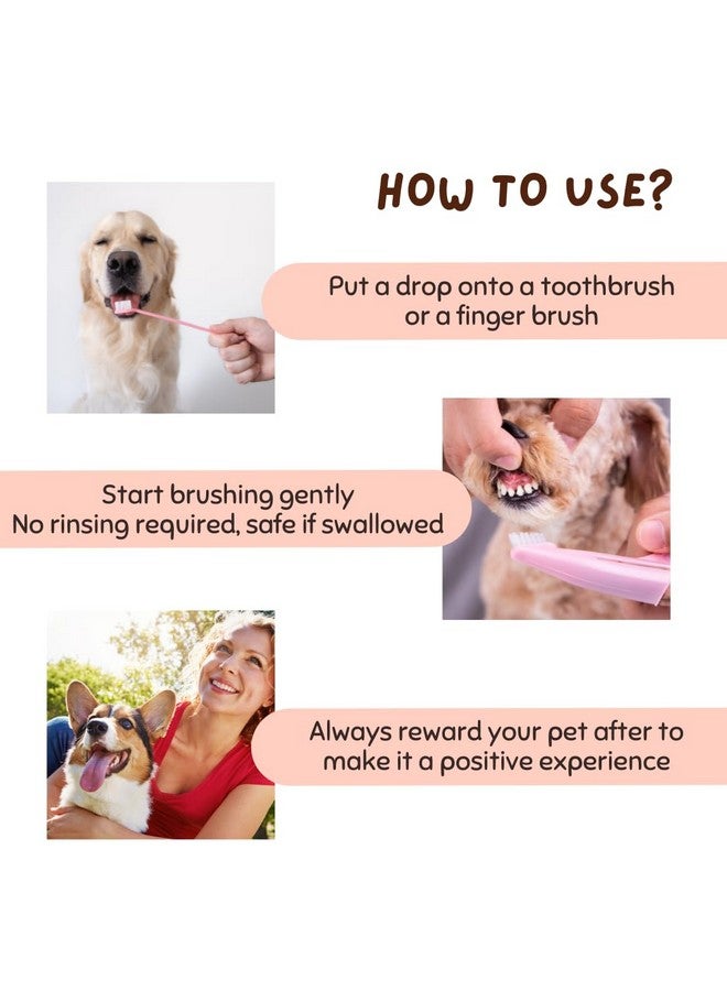 Coco Crush Natural Pet Toothpaste with Coconut Oil Clove,Peppermint,&Cinnamon Flavour Fights Plaque and Tartar 100% Pure&Ingestion Safe Suitable for Dogs,Cats,Puppies,Kittens(50Ml),1 Count - Image 4
