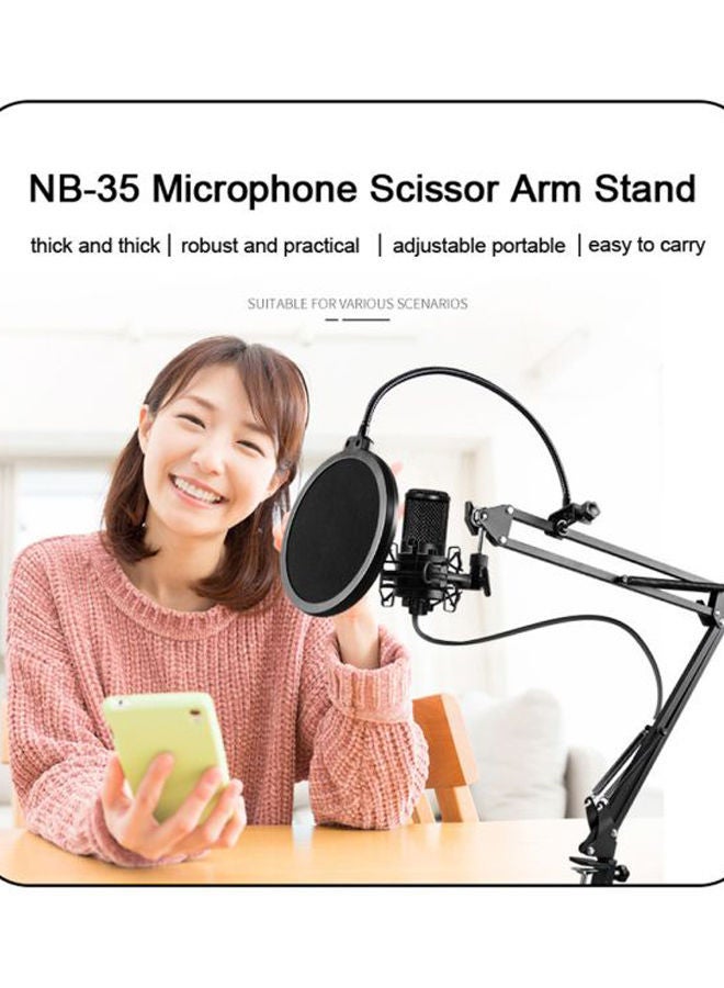 NIBEMINENT Microphone Scissor Arm Stand With Filter - Image 2