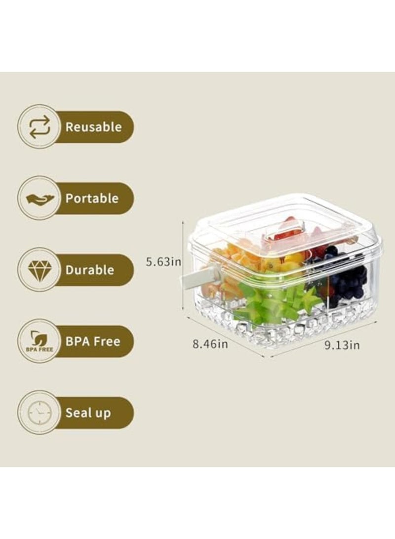 Barakah Small Chilled Serving Tray with Lid for Parties - Cold Dish Platter for Fruits, Veggies, Shrimp Cocktail, Snacks & Appetizers, Ice Chilled Party Platter for Indoor & Outdoor Events (Clear) - Image 5